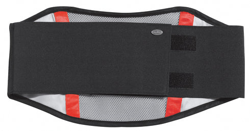 Ledvični pas Held Lola